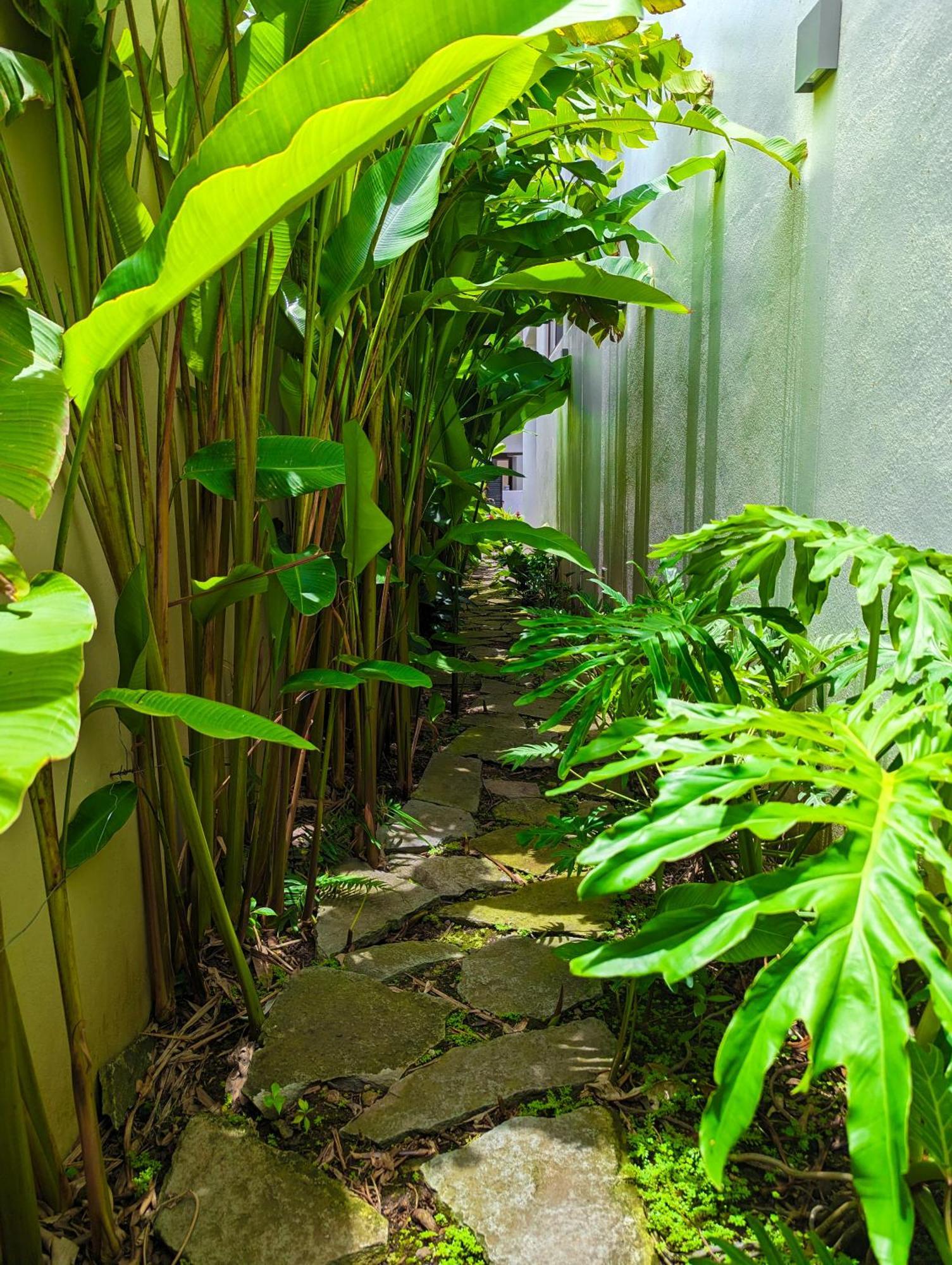 Los Gallos - Departamento Planta Baja 洛德马科斯 外观 照片